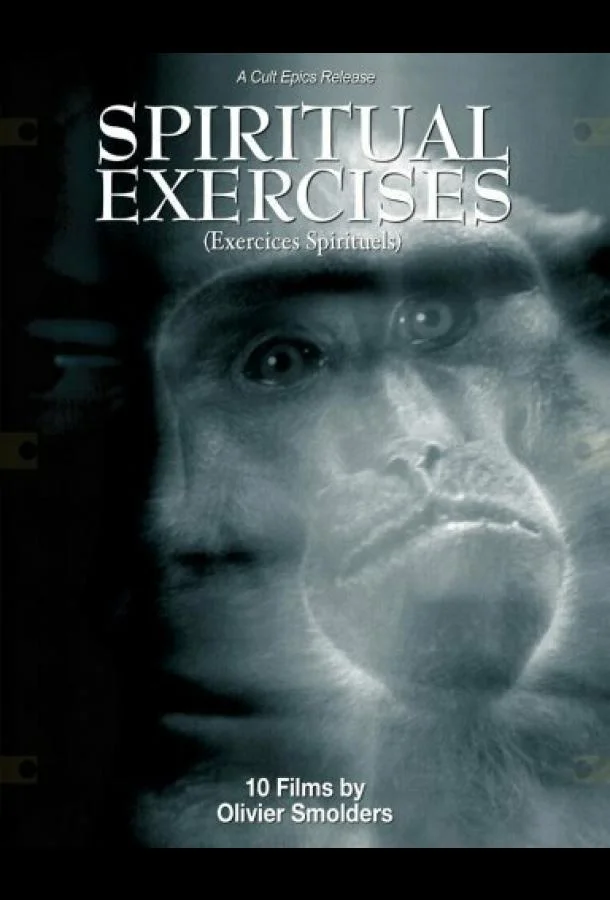 Любитель 1996 смотреть фильм онлайн